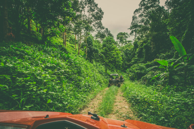 Best Times of Year for ATV Tours in Cancun