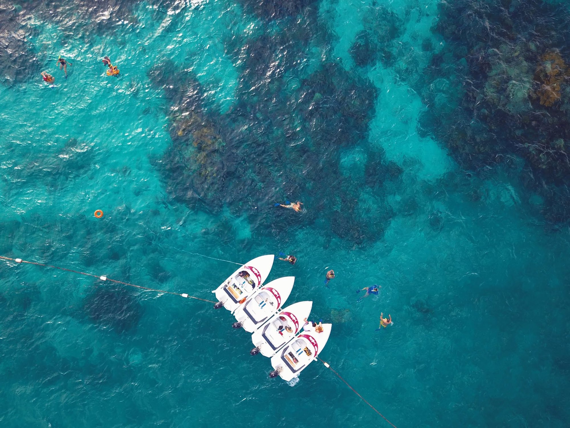 jungle-aerial-boats