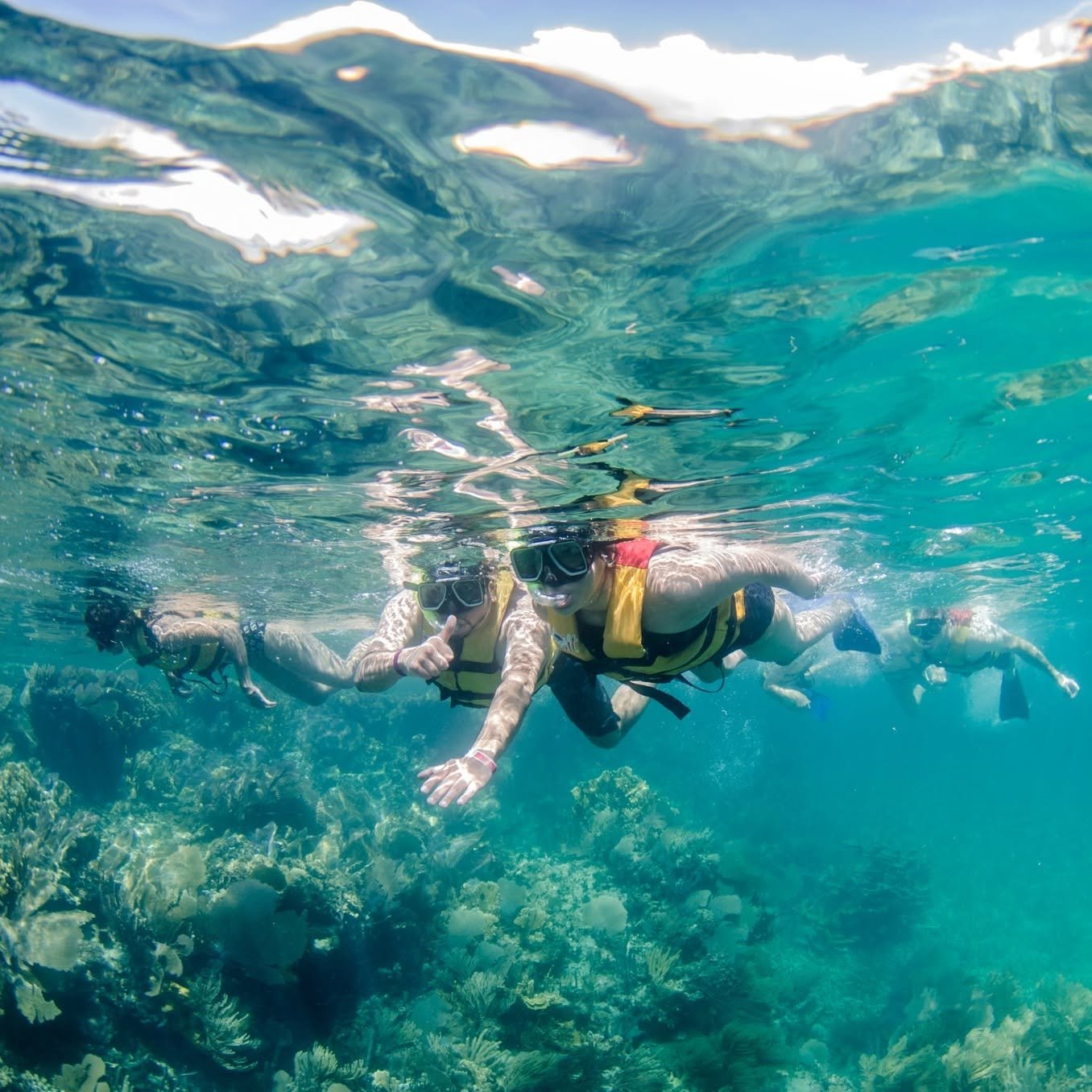jungle-snorkel-reef